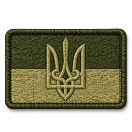 Шевроны на кепку ВСУ